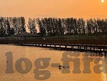 足球比分比分直播310-足球比分直播310，实时追踪绿茵场上的激情与悬念